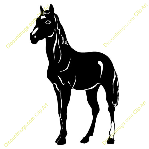 Black Horse Description Black Horse Standing Up Keywords Horse Black    