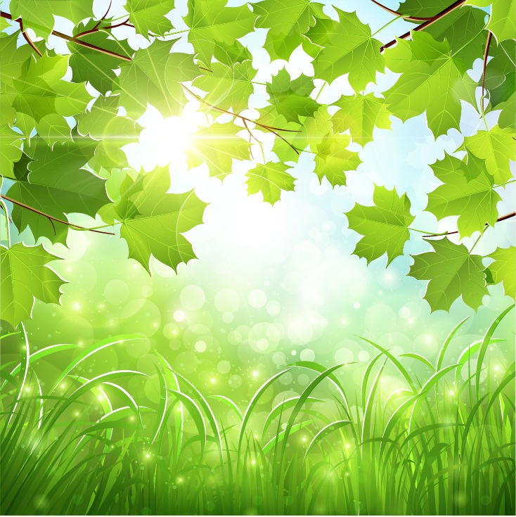 Green Natural Background Vector Illustration   Free Vector Graphics