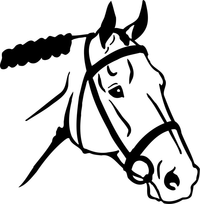 Horse Head Picture   Clipart