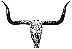 Longhorn Skull Clipart Images   Pictures   Becuo
