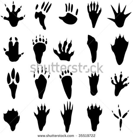 Mouse Footprints Clipart Animal Footprints Silhouette   Stock Vector