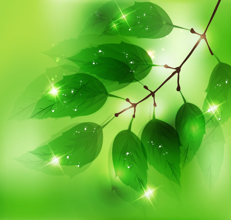 Nature Background With Fresh Green Leaves   Free Vector Graphics   All