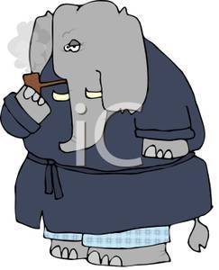 One Morning I Shot An Elephant In My Pajamas  How He Got Into My