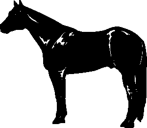 Quarter Horse Head Clip Art