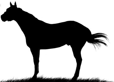Quarter Horse Silhouette Clip Art