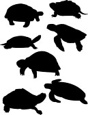 Sea Turtle Silhouette   Clipart Panda   Free Clipart Images