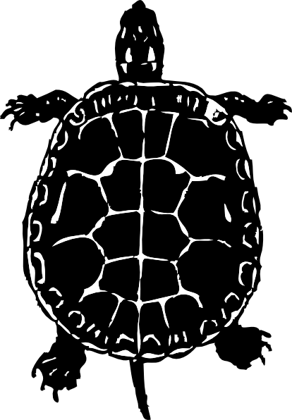 Turtle Clip Art At Clker Com   Vector Clip Art Online Royalty Free    