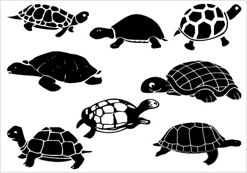 Turtle Silhouette Turtle Silhouette Clip Art