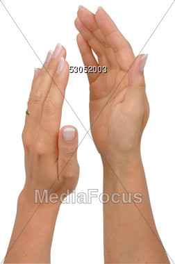 Woman Hands Clapping Clipart   Image 53052003   Woman Hands Clapping