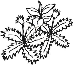Black And White Weeds   Royalty Free Clipart Picture