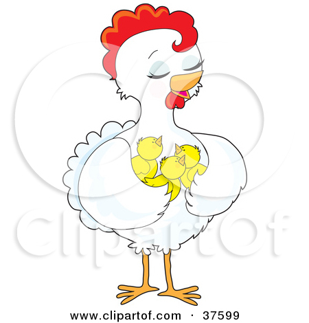 Clipart Illustration Of A Pretty White Hen Holding Her Chicks In Her