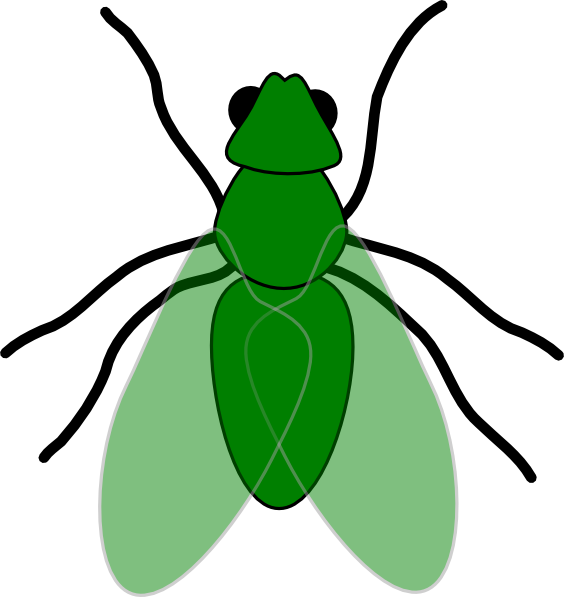 Green Fly Green For Web Clip Art At Clker Com   Vector Clip Art Online