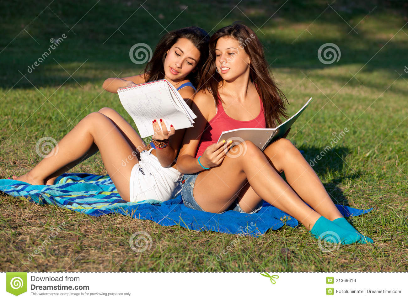 Pretty College Girls Studying Outdoors On A Campus Field 