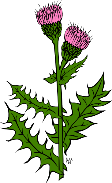 Weed With Pink Buds Clip Art At Clker Com   Vector Clip Art Online