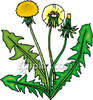 Weeds Pictures Weeds Clip Art Weeds Photos Images Graphics