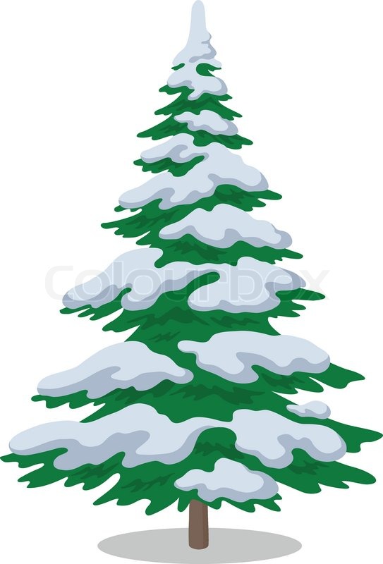 Weihnachtsbaum Mit Schnee   Stock Vektor   Colourbox