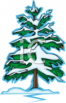 Winter Pine Trees Clipart   Clipart Panda   Free Clipart Images