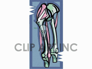 Body Clip Art Photos Vector Clipart Royalty Free Images   3