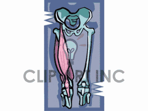 Bones Clip Art Photos Vector Clipart Royalty Free Images   7
