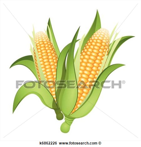 Clip Art Ears Of Corn Fotosearch Search Illustration Clipart
