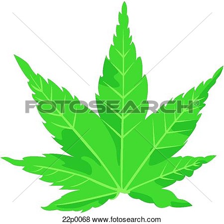Clip Art   Marijuana Leaf  L   Fotosearch   Search Clipart