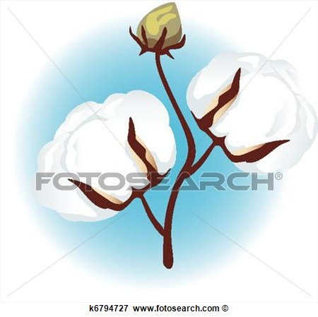 Clip Art Of Cotton Branch K6794727   Search Clipart Illustration