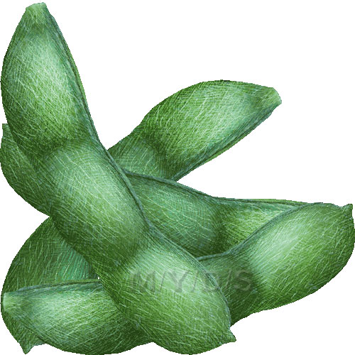 Edamame Green Soy Beans Clipart   Free Clip Art
