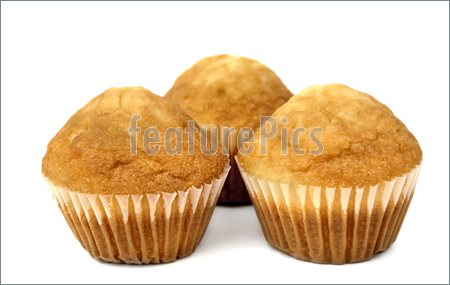 Image Of Breakfast Biscuits  High Resolution Image At Featurepics Com