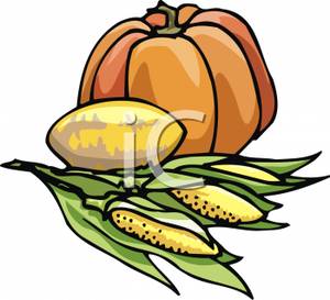 Pumpkin Squash And Corn   Royalty Free Clipart Picture