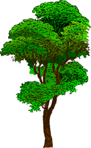 Tree Clip Art At Clker Com   Vector Clip Art Online Royalty Free