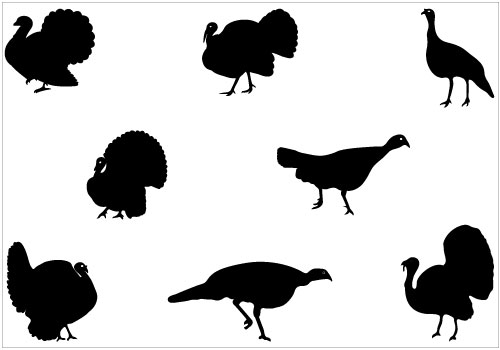 Turkey Silhouette Clip Art Pack Category Birds Vector Graphics Format