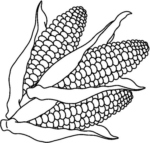 Vegetables Coloring Pages   Crafts And Worksheets For Preschool