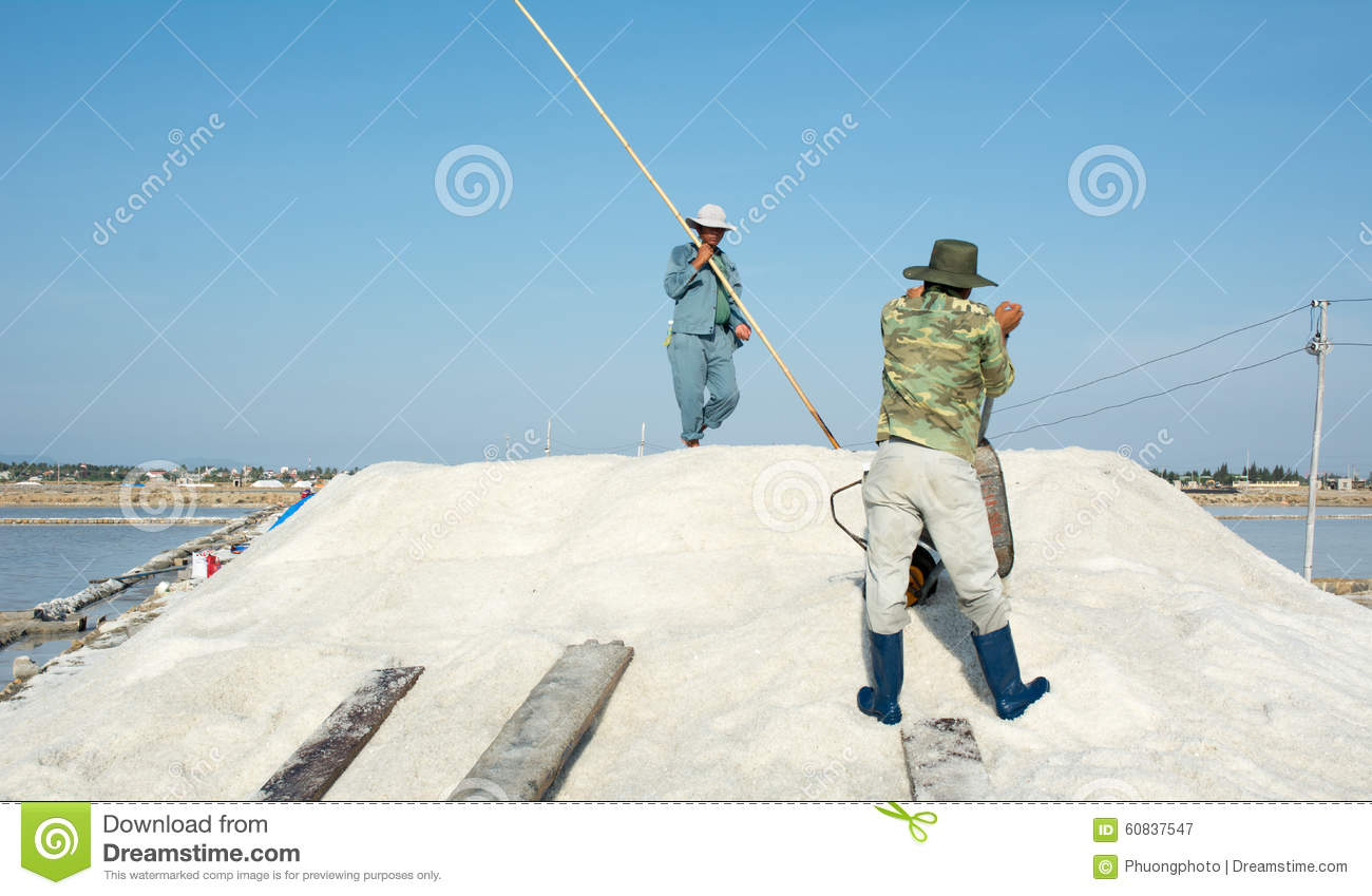 Vietnamese People Working On The Salt Field Editorial Photography