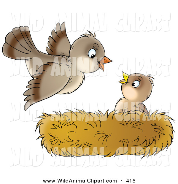Clip Art Of A Cute Baby Bird In A Nest Looking Up At Its Mother As    