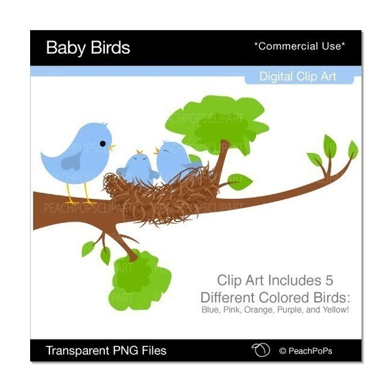 Digital Clip Art Set   Design Elements   Bird Birdie Baby Bird Mom    