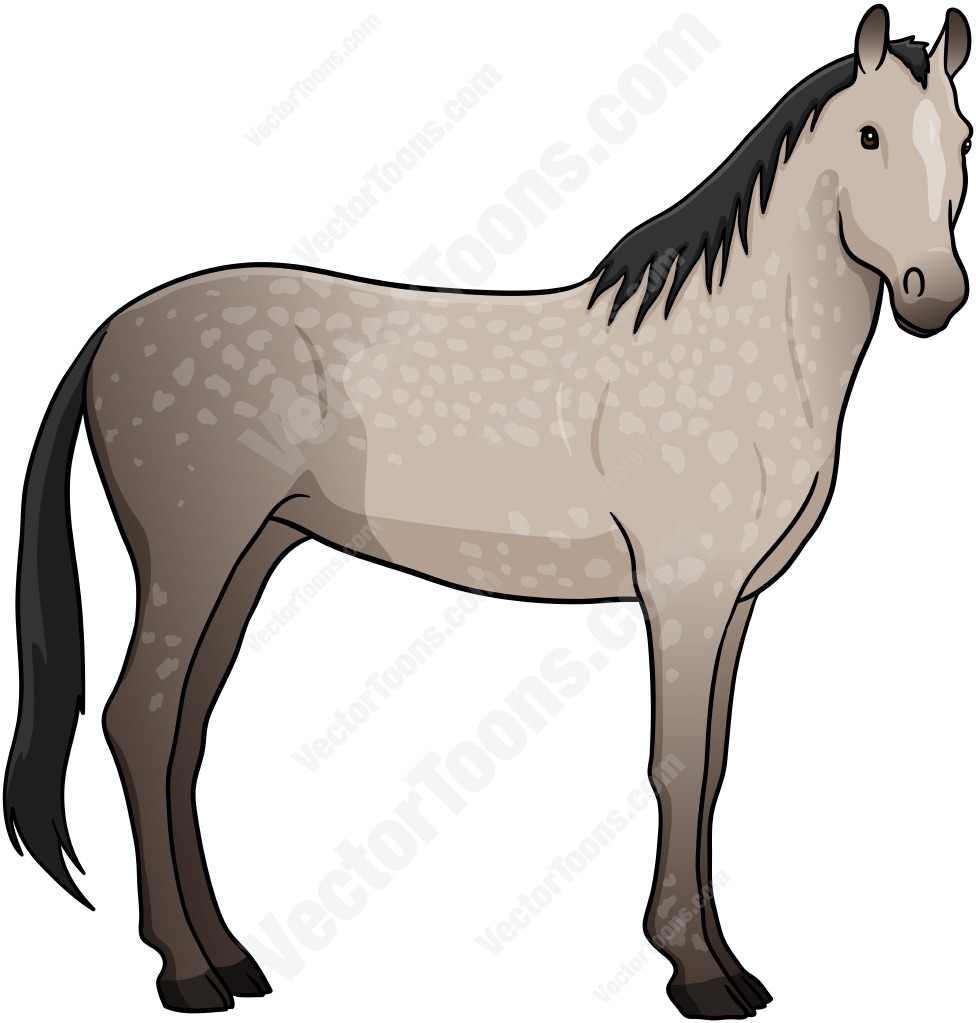 Grey Horse   Vector Graphics   Vectortoons Com