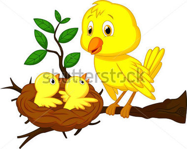 Mother And Baby Bird 162341225 Jpg