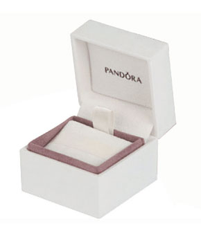 Pandora Charm Box   Precious Accents