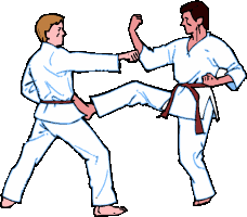 Sport Graphics   Karate Sport Graphics