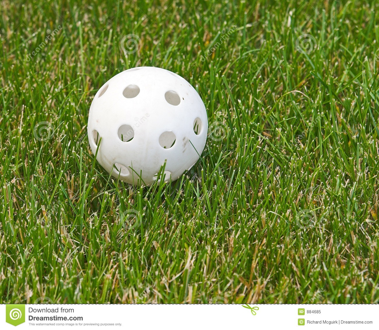 Wiffle Ball In The Grass Royalty Free Stock Photo   Image  884685