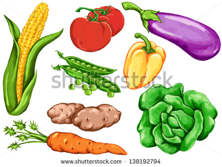 Drawing Vegetable Based Foods Vegetables Root Crops Tomato Pepper