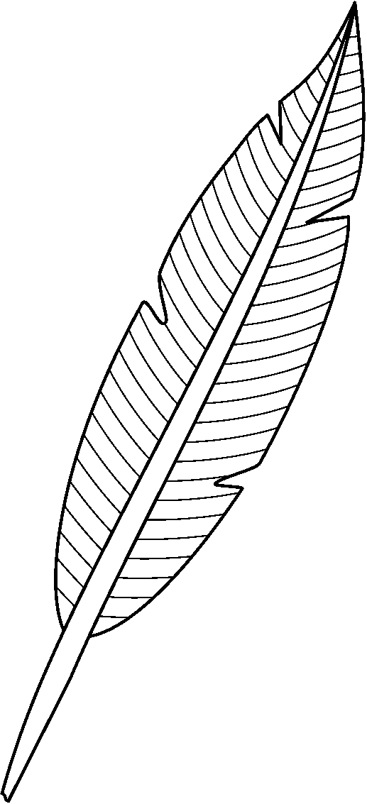 Feather Clip Art Black And White