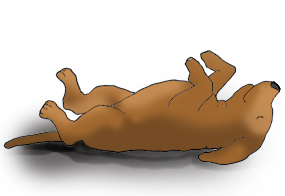 Funny Sleeping Dog Clip Art