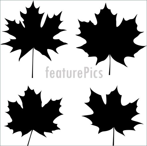 Illustration Of Maple Leaves Silhouette  Vector Clip Art To Download