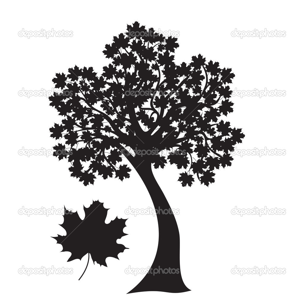 Image Search  Japanese Maple Tree Silhouette In Conjunction With The