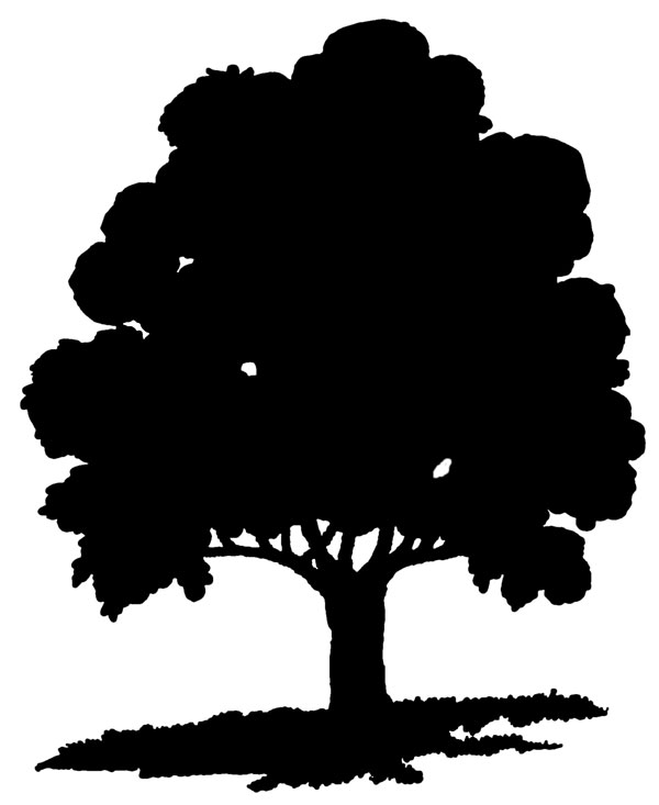 Maple Tree Silhouette Free Cliparts That You Can Download To You