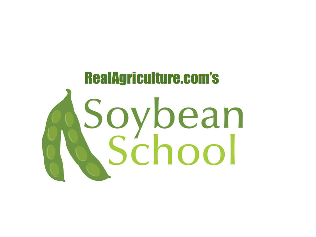     School   Is This The Year For Double Crop Soybeans    Real Agriculture