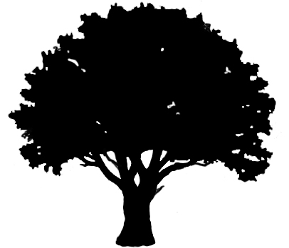 Silhouette Of Oak Tree Tree Silhouettes