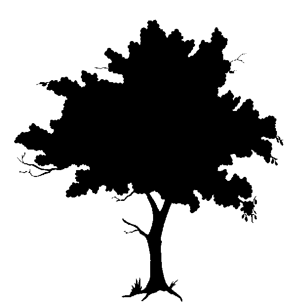 Tree Silhouette Simple Oak Tree Silhouettefree Tree Silhouette Clipart