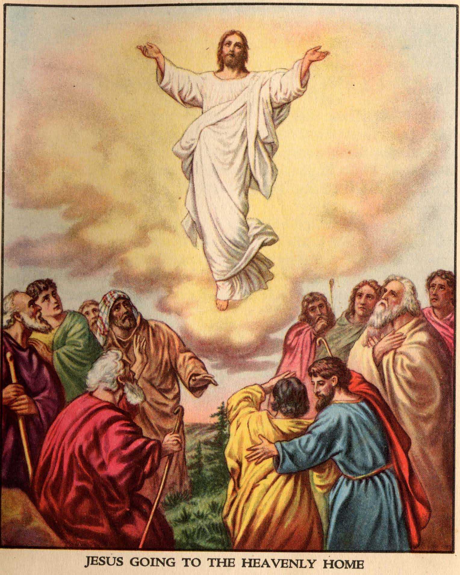 Garden Of Praise  The Ascension Bible Story